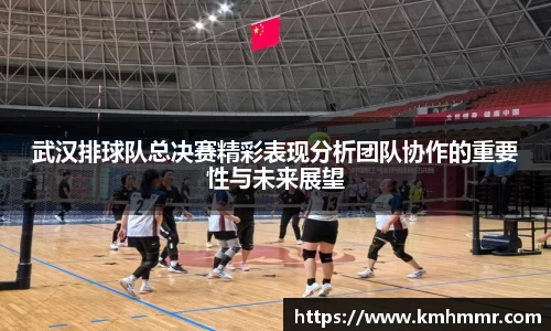武汉排球队总决赛精彩表现分析团队协作的重要性与未来展望